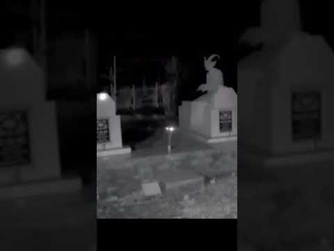 I can't believe they captured this on video #shorts