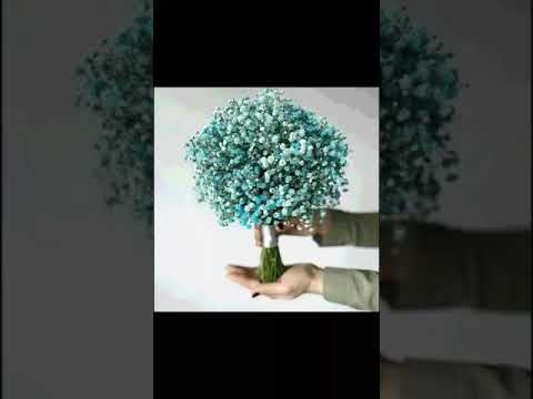 #lavish #Bookeys#flowers