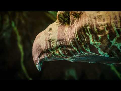 Friedhof Essen Bredeney