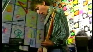 The Clean - Two Fat Sisters (live)