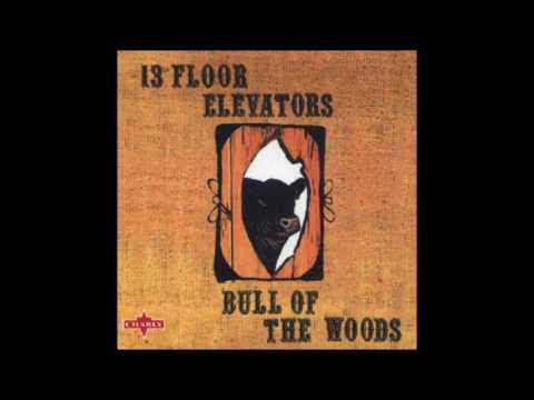13th floor elevators - bull of the woods