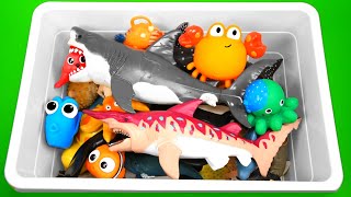 Sea Animal Toys for Kids - Guess Sea Animals Names - Sea Animals for Kids