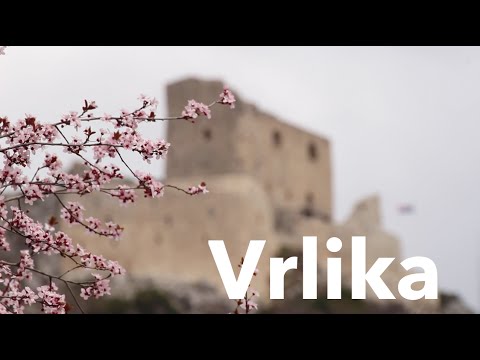 Vrlika
