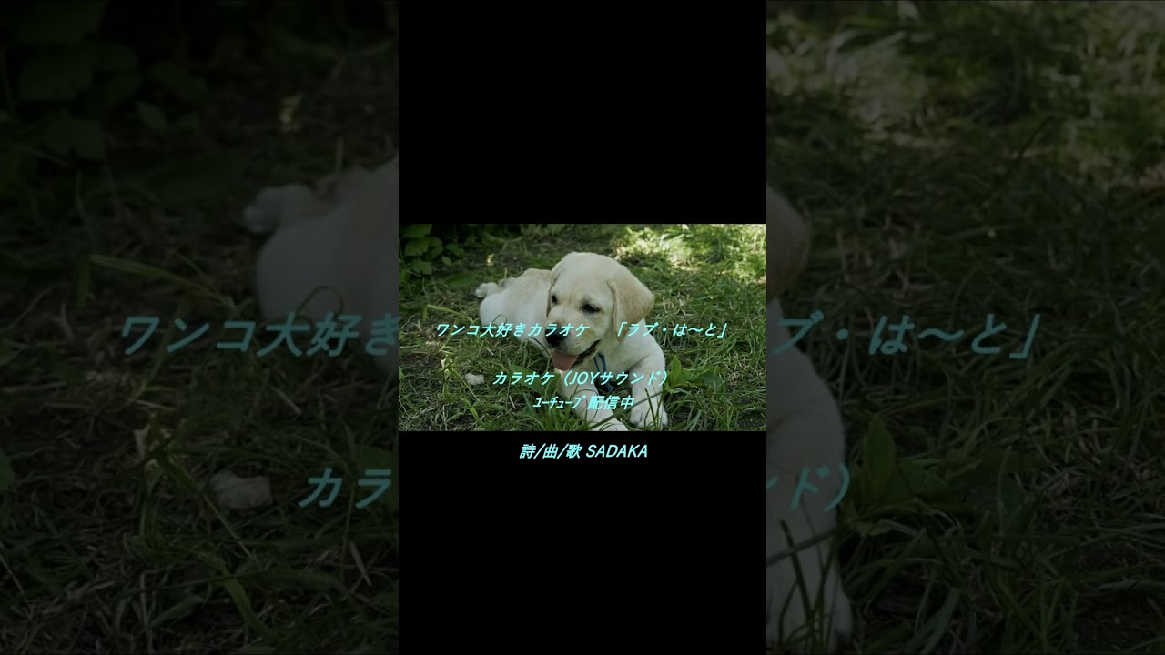 ラブ💛は～と　カラオケ（JOYサウンド）、ユーチューブ配信中 #pets #puppy #cute #shorts　#ショート動画