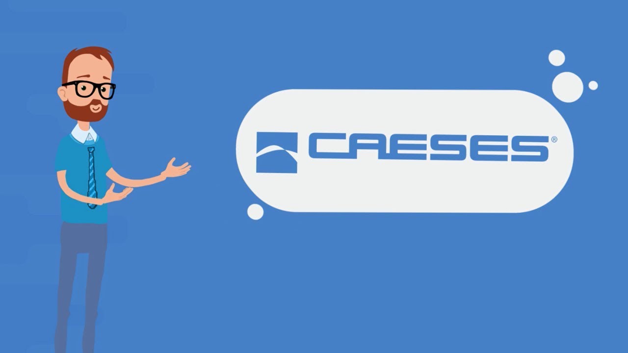 What is CAESES?