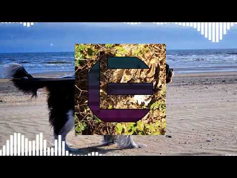 Pasta Alfredo Demo - Song by Emily Wood