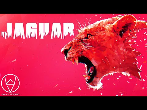 🔥Waka Sound🔥 - JAGUAR🐆 (Original Mix)🎵 Descarga Gratuita✅