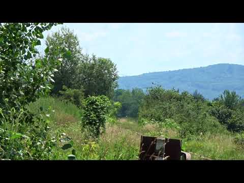 RE9531 in Curtea de Argeș