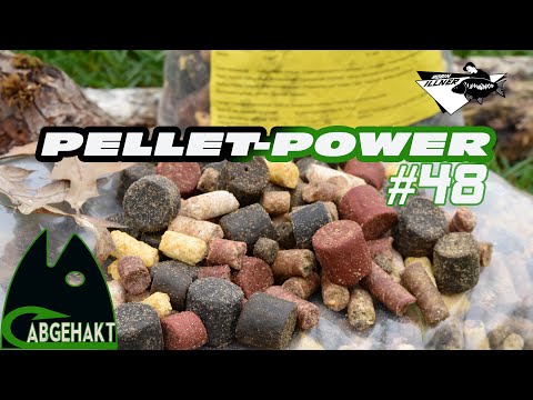 ABGEHAKT #48: SUPERKÖDER PELLET #Karpfen #Fluss #angeln