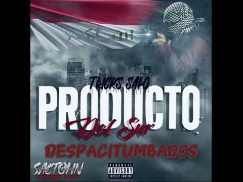 Tricks Sapo - Producto Del Sur (SLOWED + REVERB)