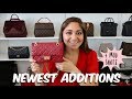 NEWEST ADDITIONS TO MY COLLECTION | CHANEL, FURLA, GUCCI | Minks4All