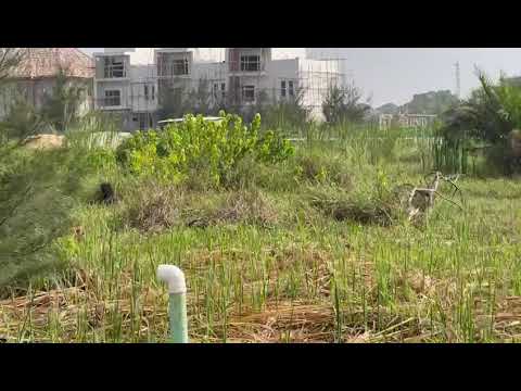 Land For Sale Genesis Court Phase 2 Ajah Lekki Lagos Ajah Lagos