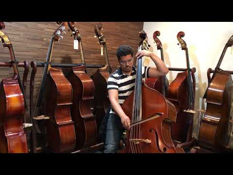 Marlon Martinez - 5 String Wilfer "Phantom"