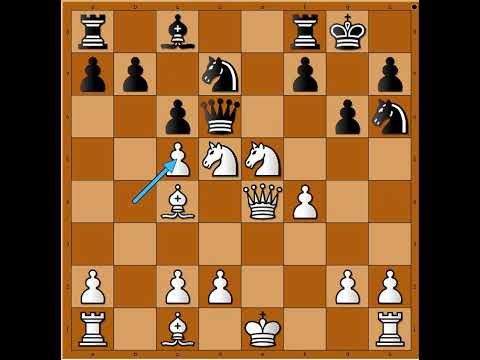 Gužva ispred rokadnog položaja Kralja 🔥🔥🔥👑  ZELEVINSKY vs RAVINSKY #3325