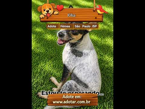 Vídeo de Kika