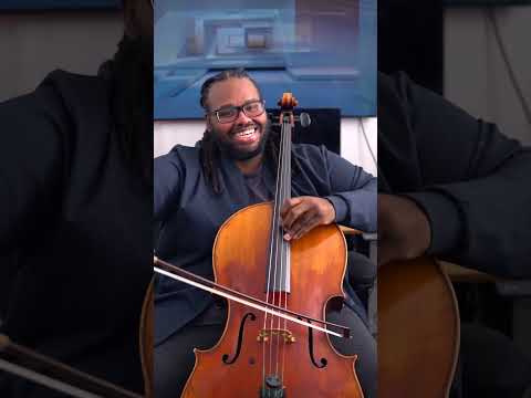 Spring #cello #music #cinematic