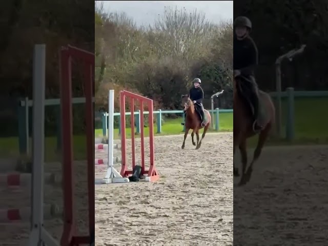 Ponette C origine constatée CSO 