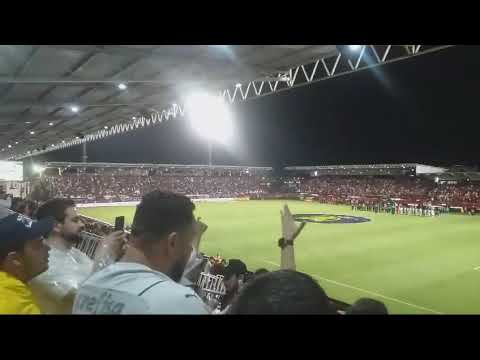 Atlético Goianiense x Palmeiras sábado 23 novembro 2024 Veiga golaço