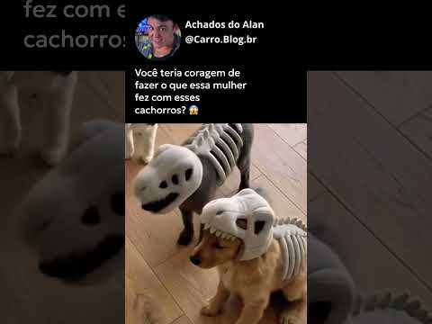 Você teria coragem de fazer o que essa mulher fez com esses #cachorros ?😱 #shorts #cachorrosfofos