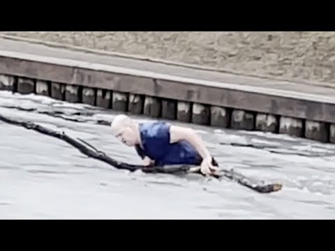 Herrchen versucht verzweifelt, seinen Hund zu retten. Dann filmen Passanten eine Heldentat