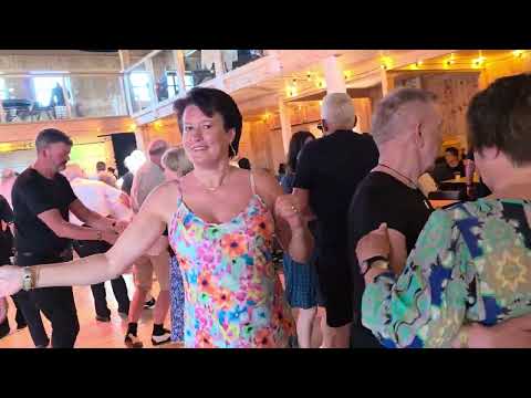 Den gamle bjørka med Dænsebændet på Lavvotunet Dokka Camping Dansnytt Jan Tore Eriksen