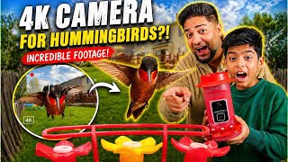 This Hummingbird Camera is INSANE (4K Footage!) Humbirdy SH68