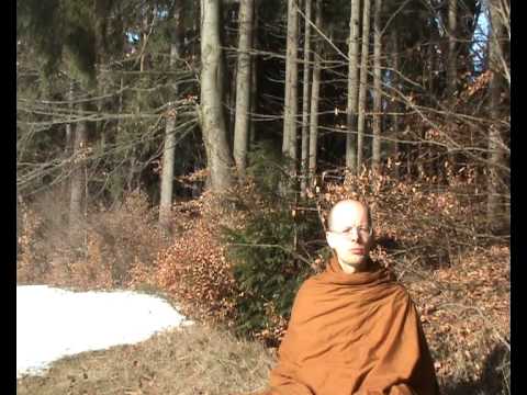 Ven. Gavesako - Methods for calming thoughts 1