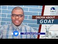 DREAM ABOUT GOAT I Evangelist Joshua Orekhie Dream Dictionary I