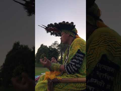 Tomar Nixi Pae é entrar em mundo encantado!