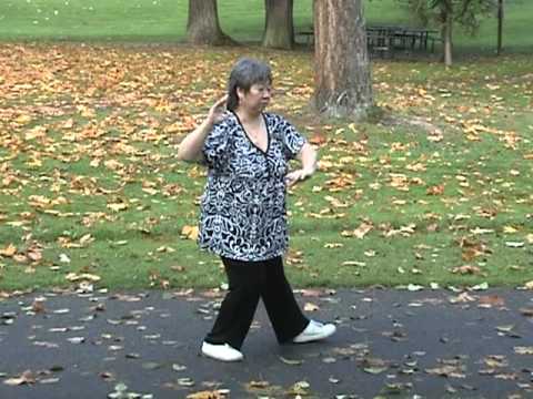 Yang Family tai chi long form first section