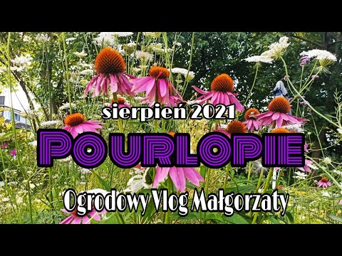 Po urlopie. Jak wygląda ogród?