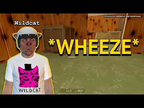 Clips that made Wildcat the funniest member of the Vanoss Crew