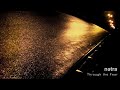 netra- Through the Fear 
