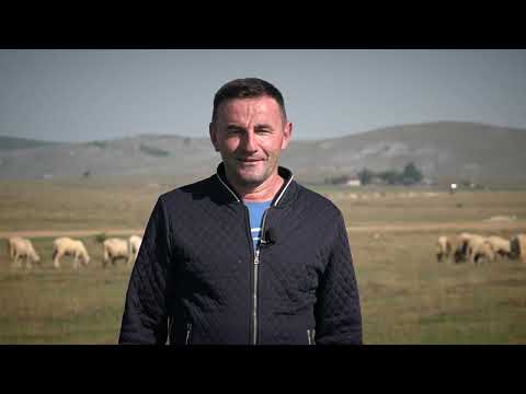 SELA BALKANSKOG SIBIRA: Katuni u Uglu, najveće krdo konja na Pešteri, kad se zapeva u Štavlju...