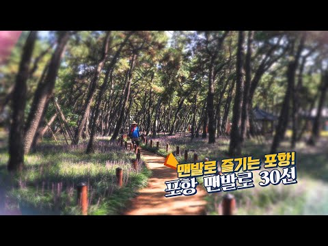 포항 맨발로(路) 30선