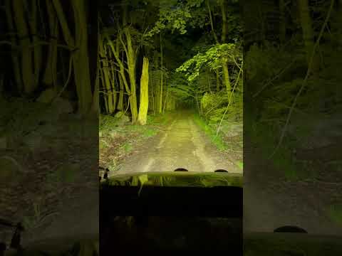 Led off-road lighting from big lion x ( Amazon ) less then $100. Shocking 5”amber color flood light