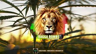 Marley Bros. - Medication (L-Side Bootleg)