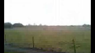 bus driver from hell