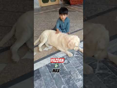 YAZDAN QURESHI AND MAX❤️#ishq #pets #dog #love #song #music #trending #trendingshorts