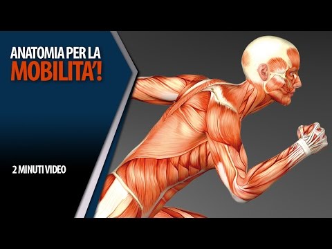 Il modo più efficace per il trattamento di osteocondrosi toracica Gengive doloranti collo nervo