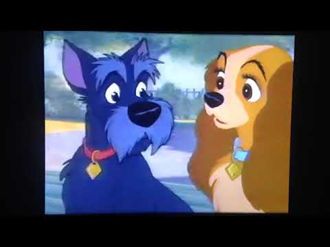 Gilderoy and the Blaine part 5 - gilderoy talks to adult Bambi and BoCo/it’s Craig tucker