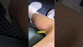 Download lagu This is the reason why tickets to Japan are so cheap in summer 😅 #shorts mp3