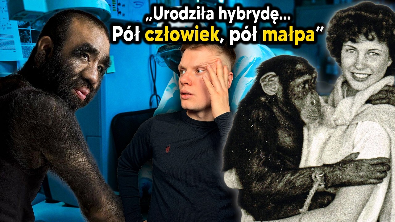 Zapłodnili MAŁPE ludzkim nasieniem i urodziło się TO... (Mroczny eksperyment Ilja Iwanowa)