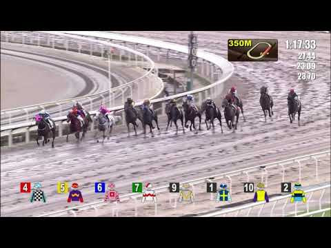 10/10/2021 (90) Chancheng Prince - R Maia