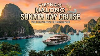 Vietnam Travel Vlog 2🇻🇳| Vietnam Halong Sonata Day Cruise | Exploring Vietnam’s Famous Tourist Place