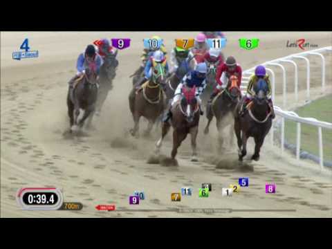 Marble Queen - Seoul Racecourse - June 24, 2017