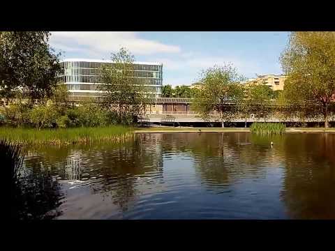 Grubbens trädgård, plaskdammen Kungsholmen Stockholm del 1