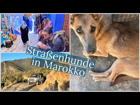 4x4 Overlanding Marokko - Wüstenabenteuer - Teil 4/4: Foum-Zguid, Imsouane, Chefchaouen, Pyrenäen