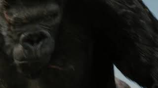King Kong affection towards a girl | கிங் காங்கின் ஈர்ப்பு | part 1