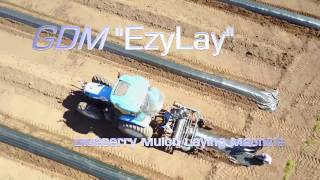 GDM EzyLay Blueberry Mulch Layer